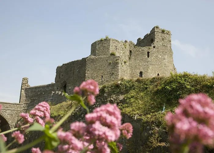 호텔 Four Seasons Hotel, 4*